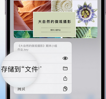 华容apple维修中心分享iPhone文件应用中存储和找到下载文件