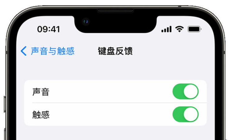 华容苹果手机维修分享iPhone 14触感键盘使用方法 