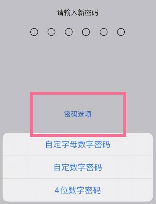 华容苹果14维修分享iPhone 14plus设置密码的方法 