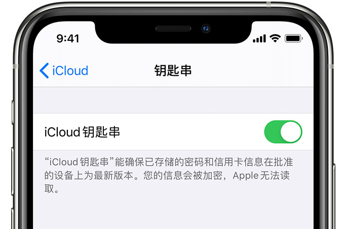 华容苹果手机维修分享在 iPhone 上开启 iCloud 钥匙串之后会储存哪些信息 