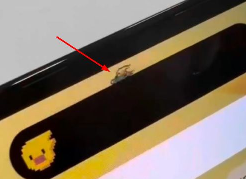 华容苹果14维修分享iPhone 14 Pro Max灵动岛怎么养宠物 