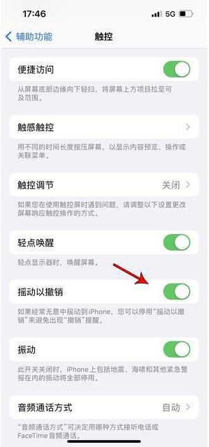 华容苹果手机维修分享iPhone手机如何设置摇一摇删除文字 