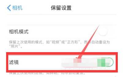 华容苹果13维修分享iPhone13拍照有绿点是怎么回事 