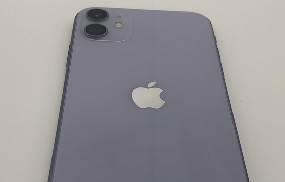 华容苹果11系统维修分享iPhone11手机系统崩溃无法开机如何解决